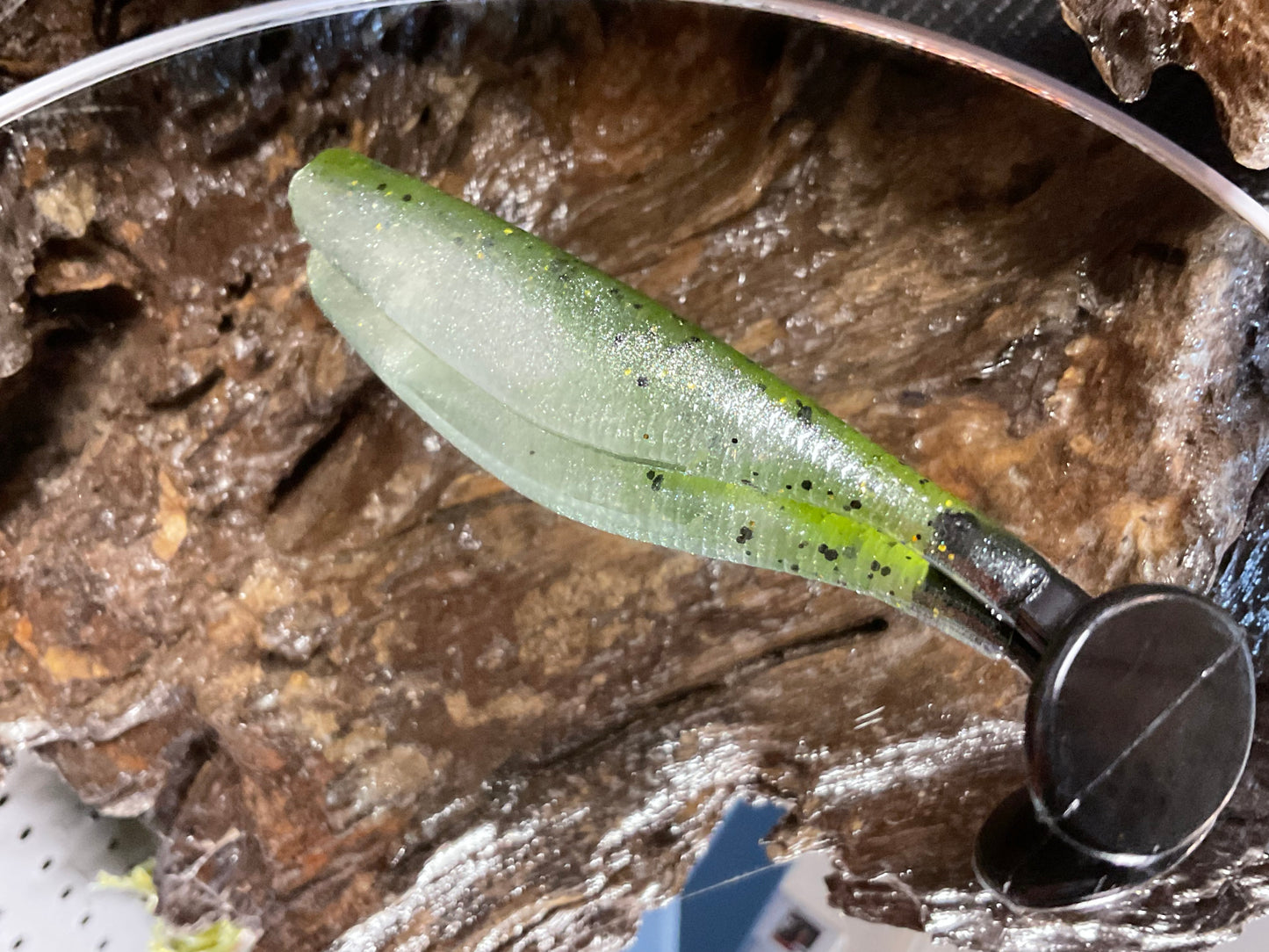 Baby Bass