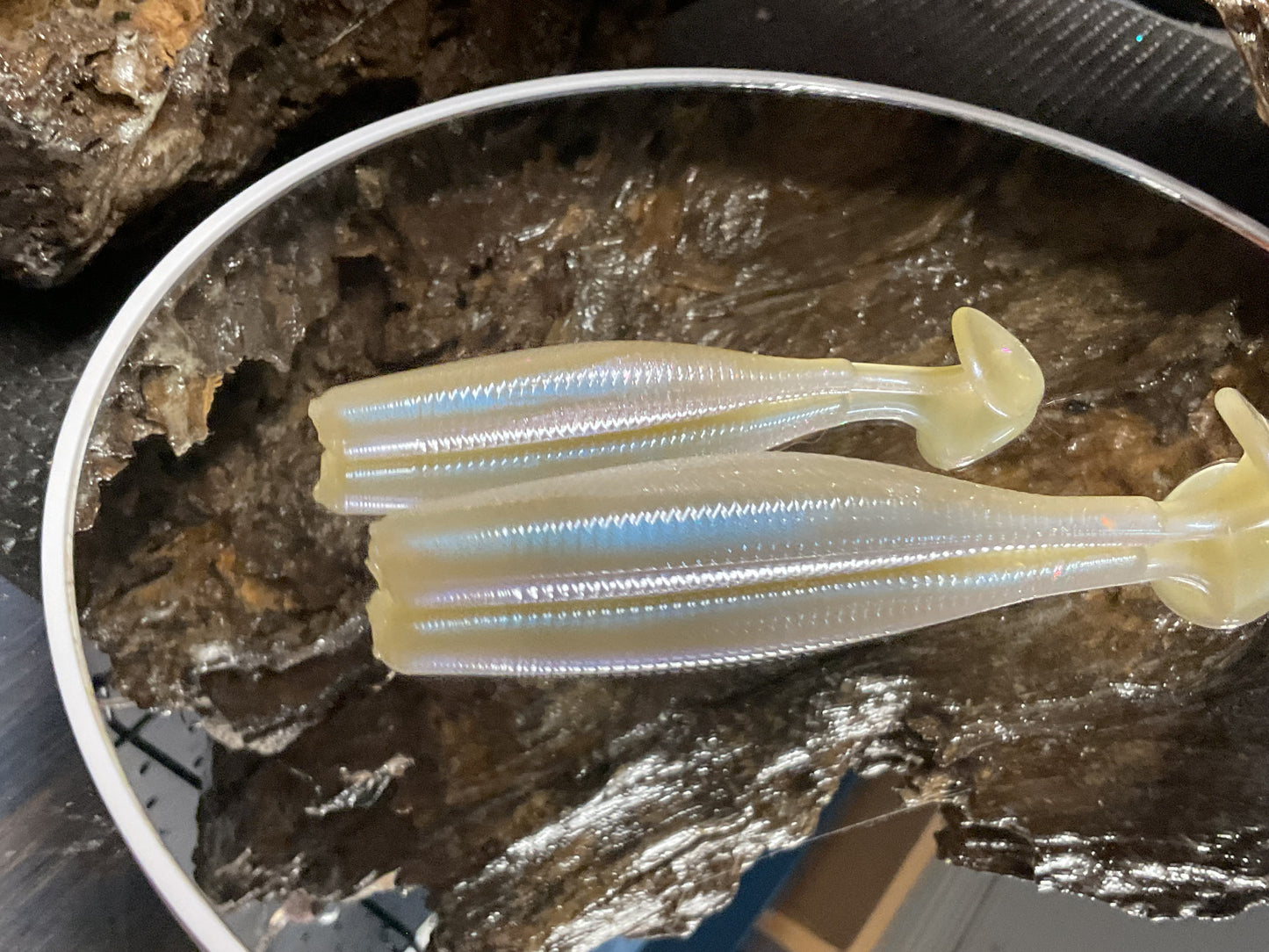 Cal Threadfin Shad
