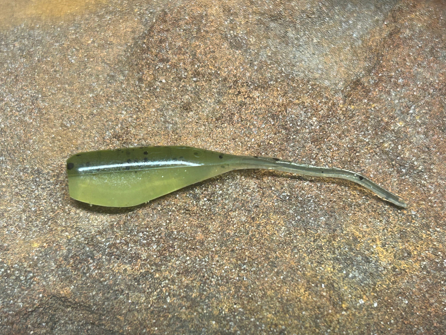 Baby Bass