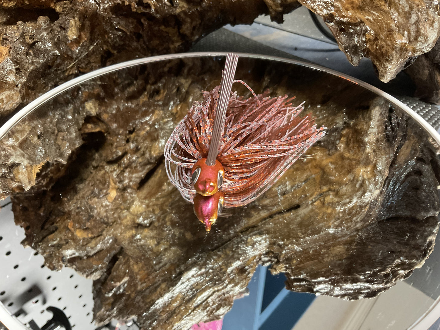 Lava Craw
