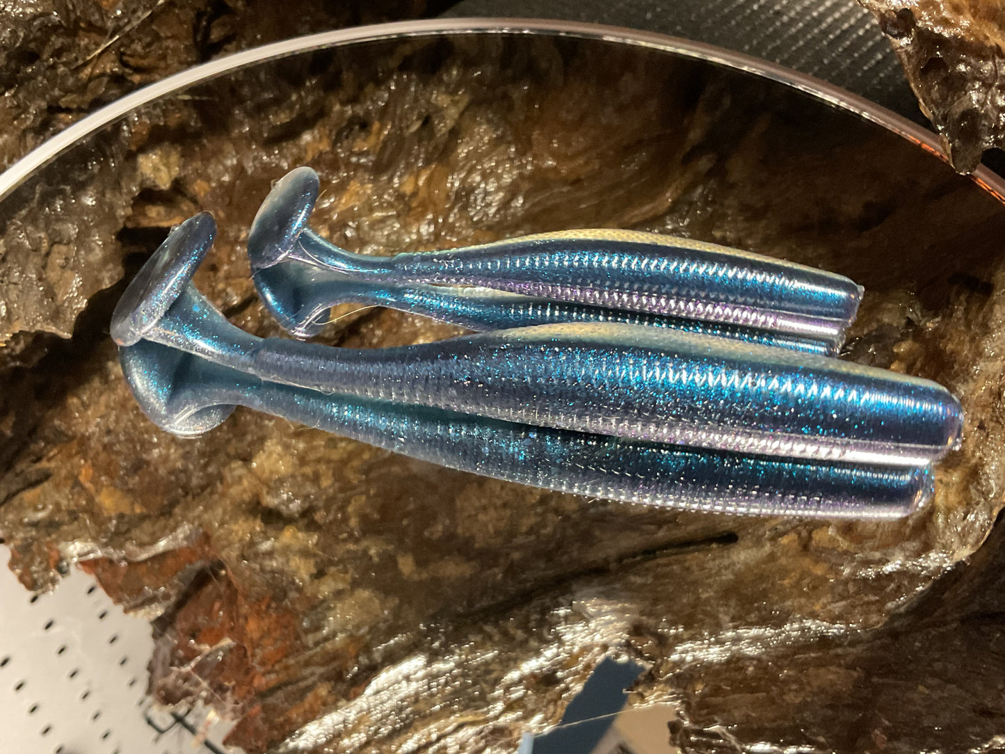 Blue Haze Shad