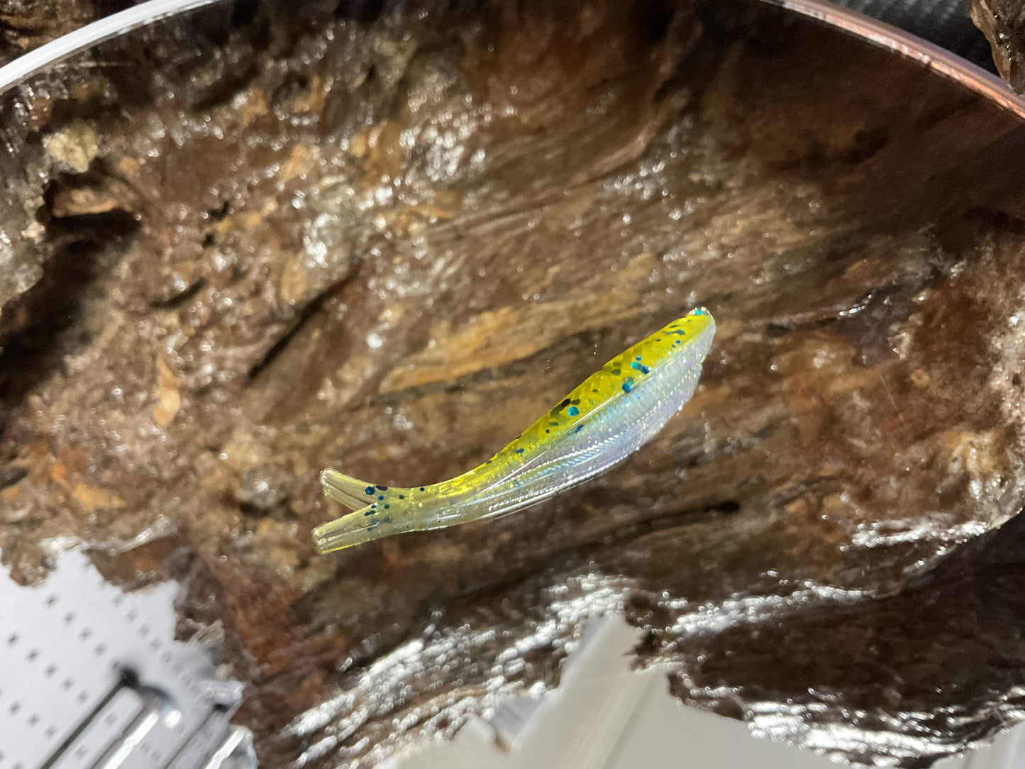 Green Pumpkin - Blue Shad