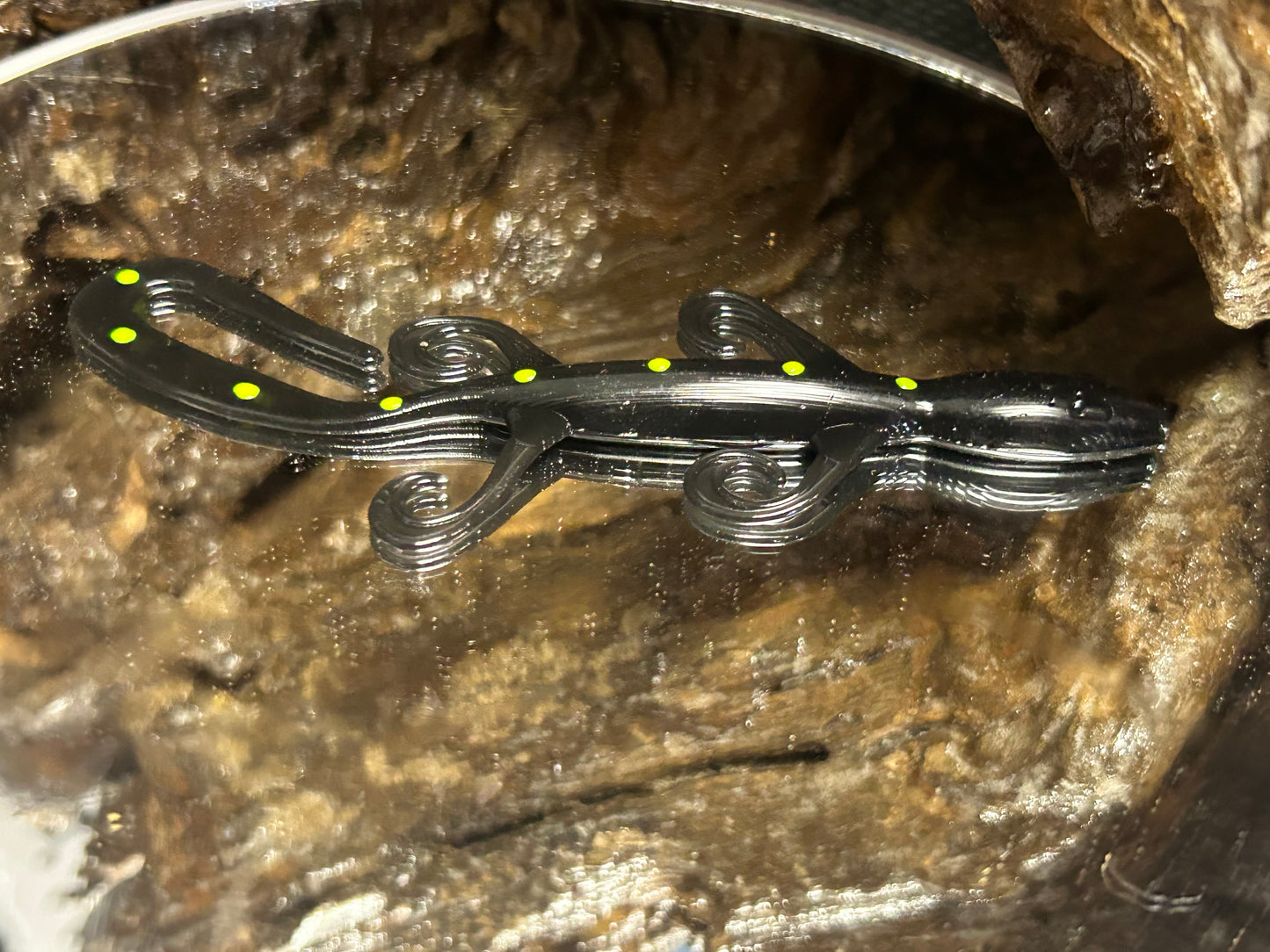 Black with chartreuse dots 