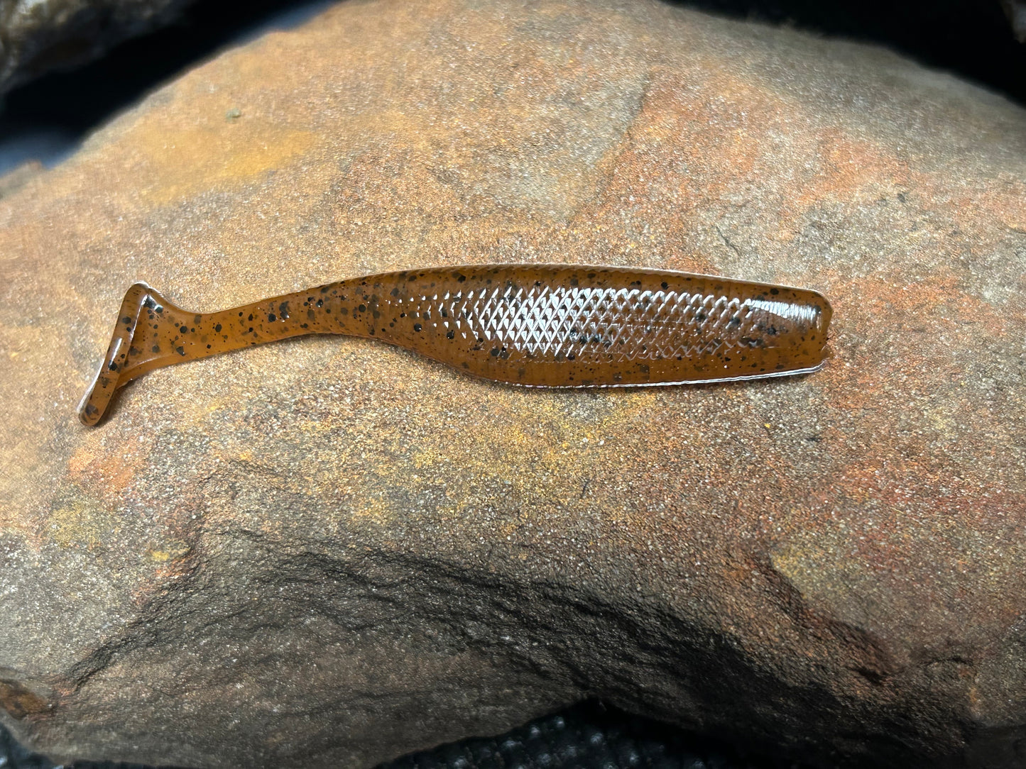 North Carolina Pumpkin Shad