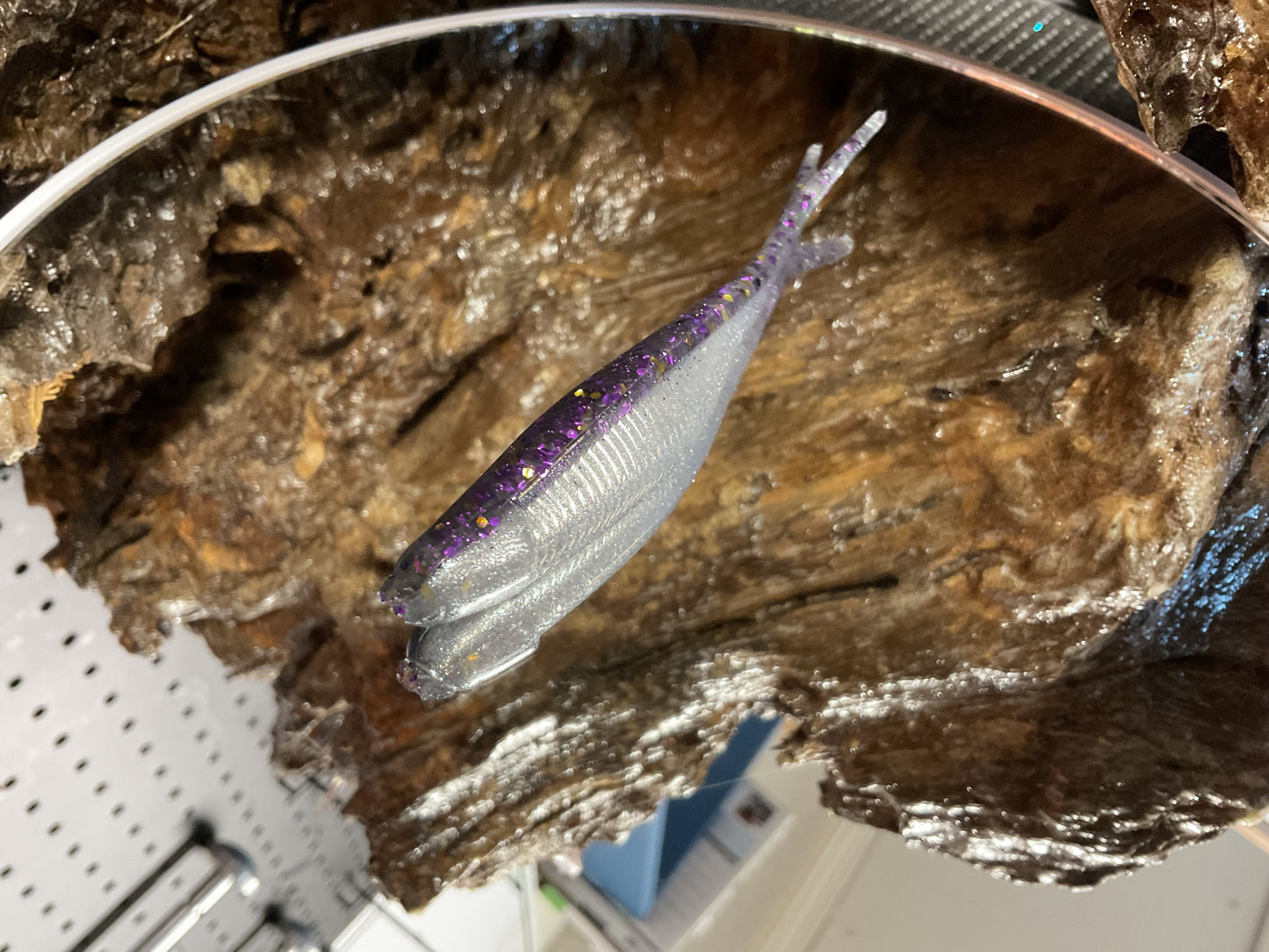 Gizzard Shad Tracers