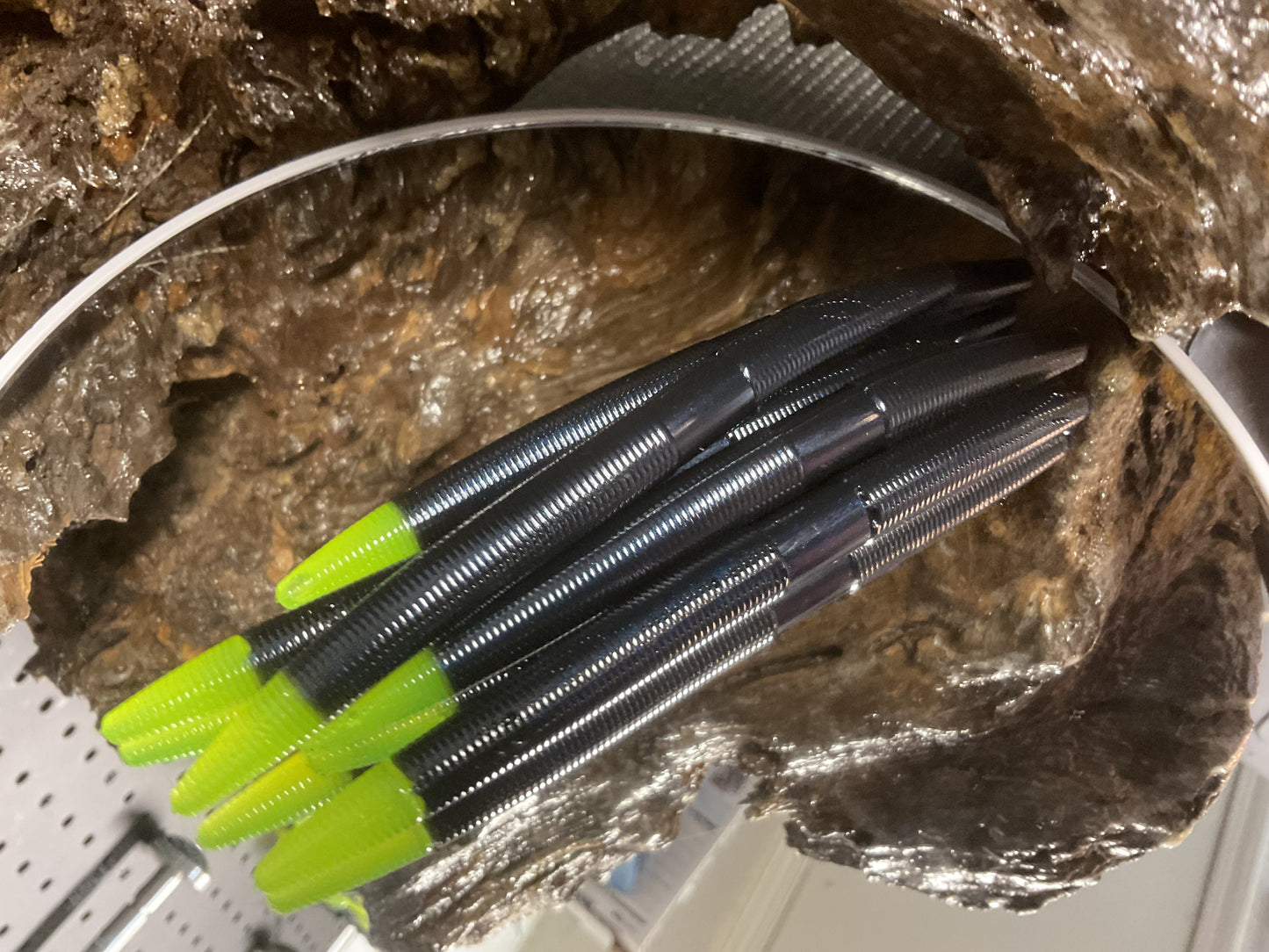 Black - Chartreuse Tip