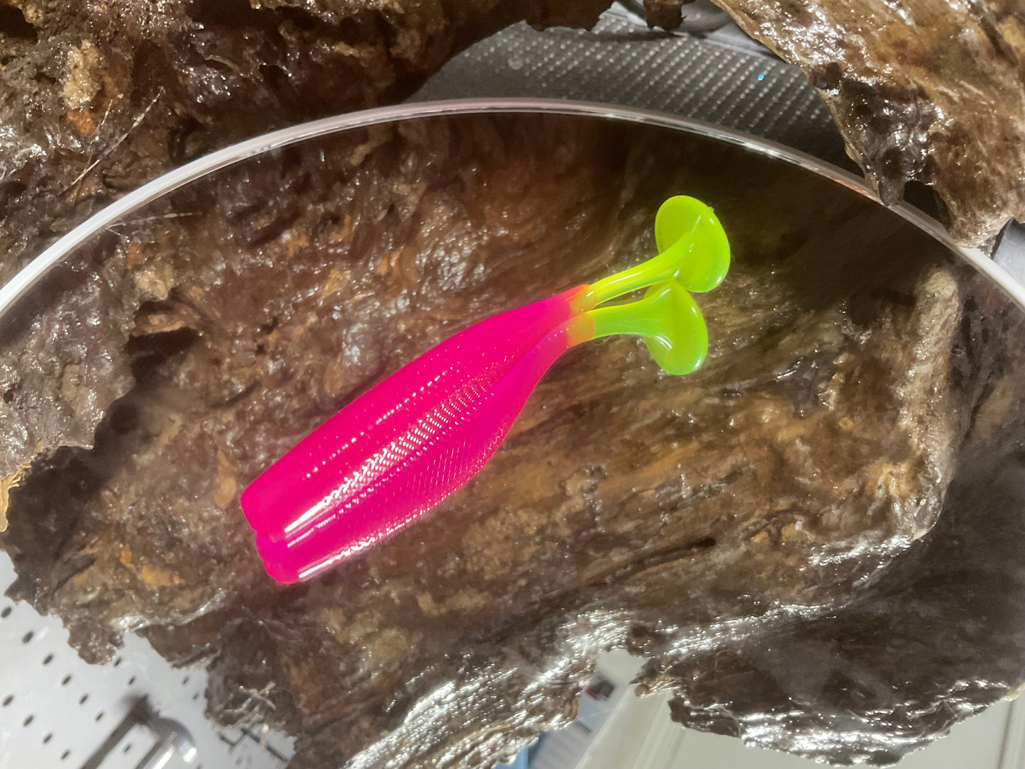 Hot Pink CT