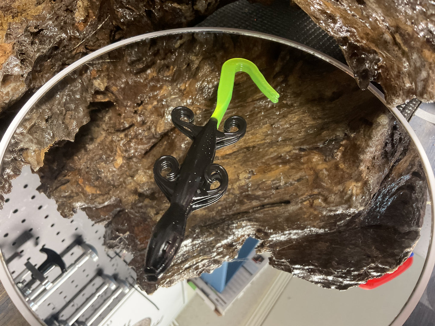 Black - Chartreuse Tail