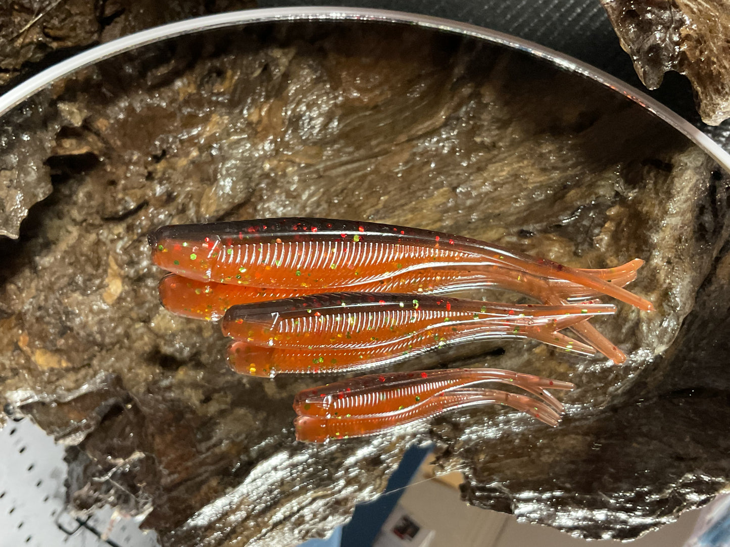 ScallyWag