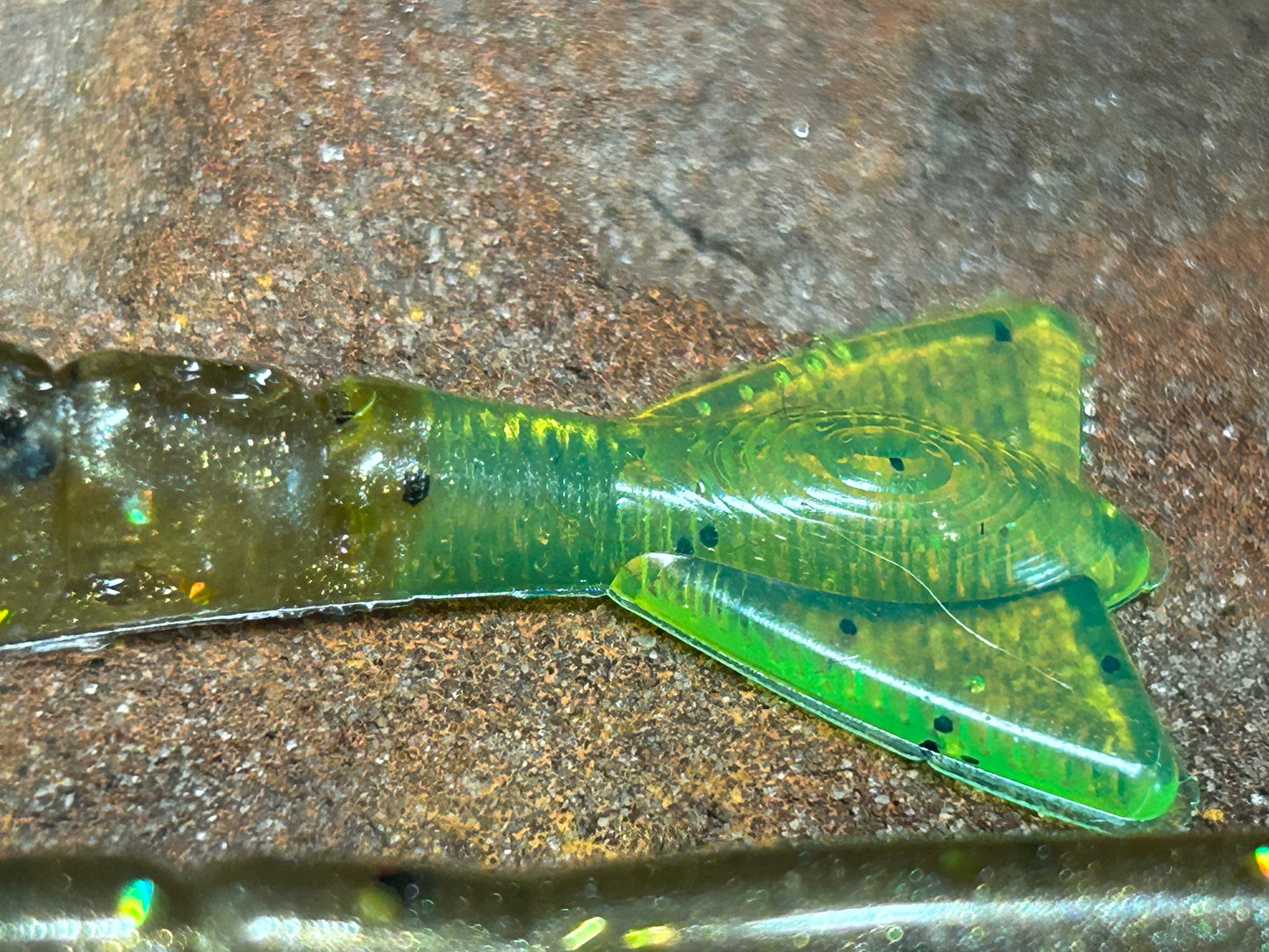 Bronze Penny / Chartreuse Tail (qty 6)