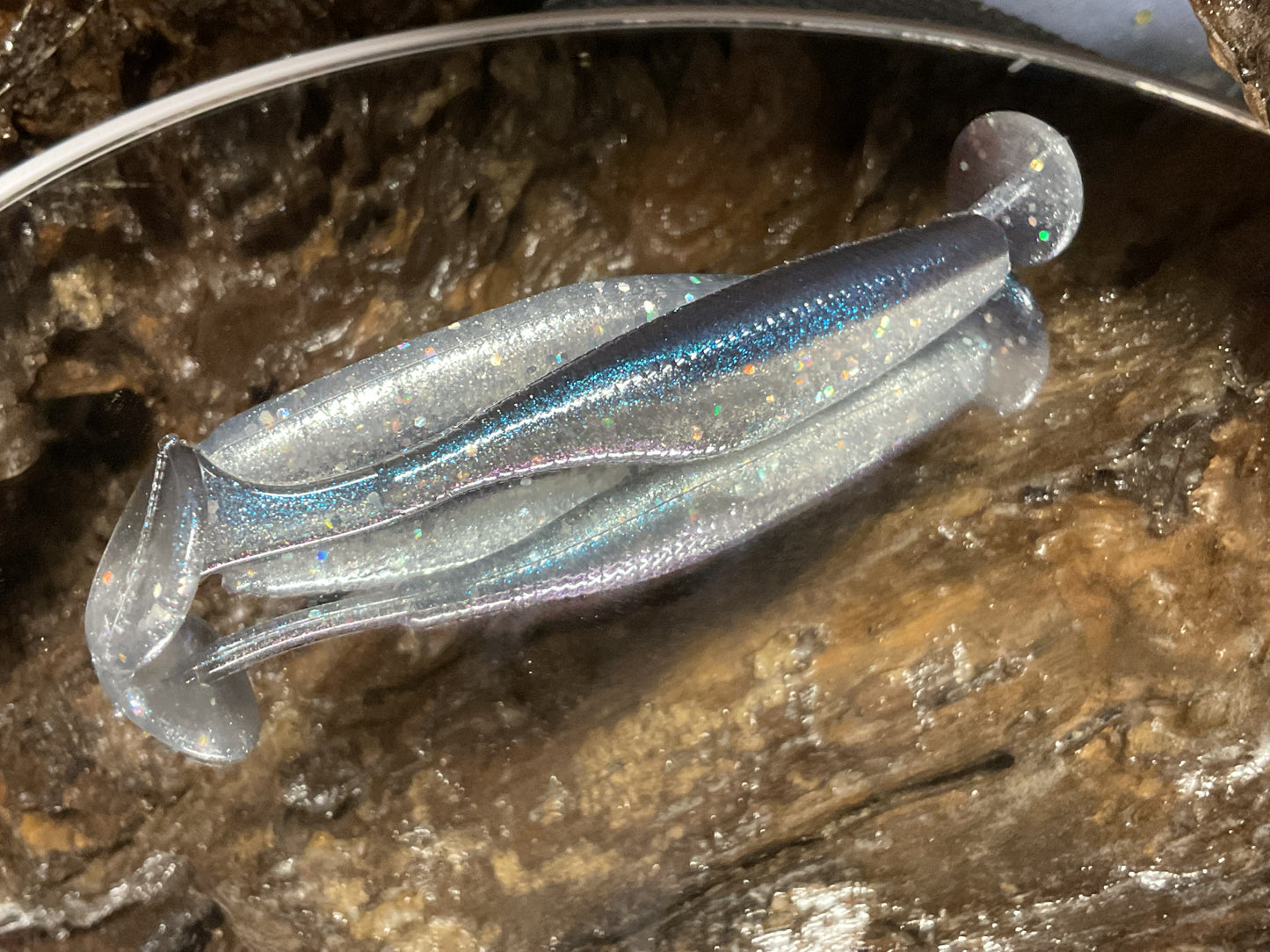 Blue Streak Shad