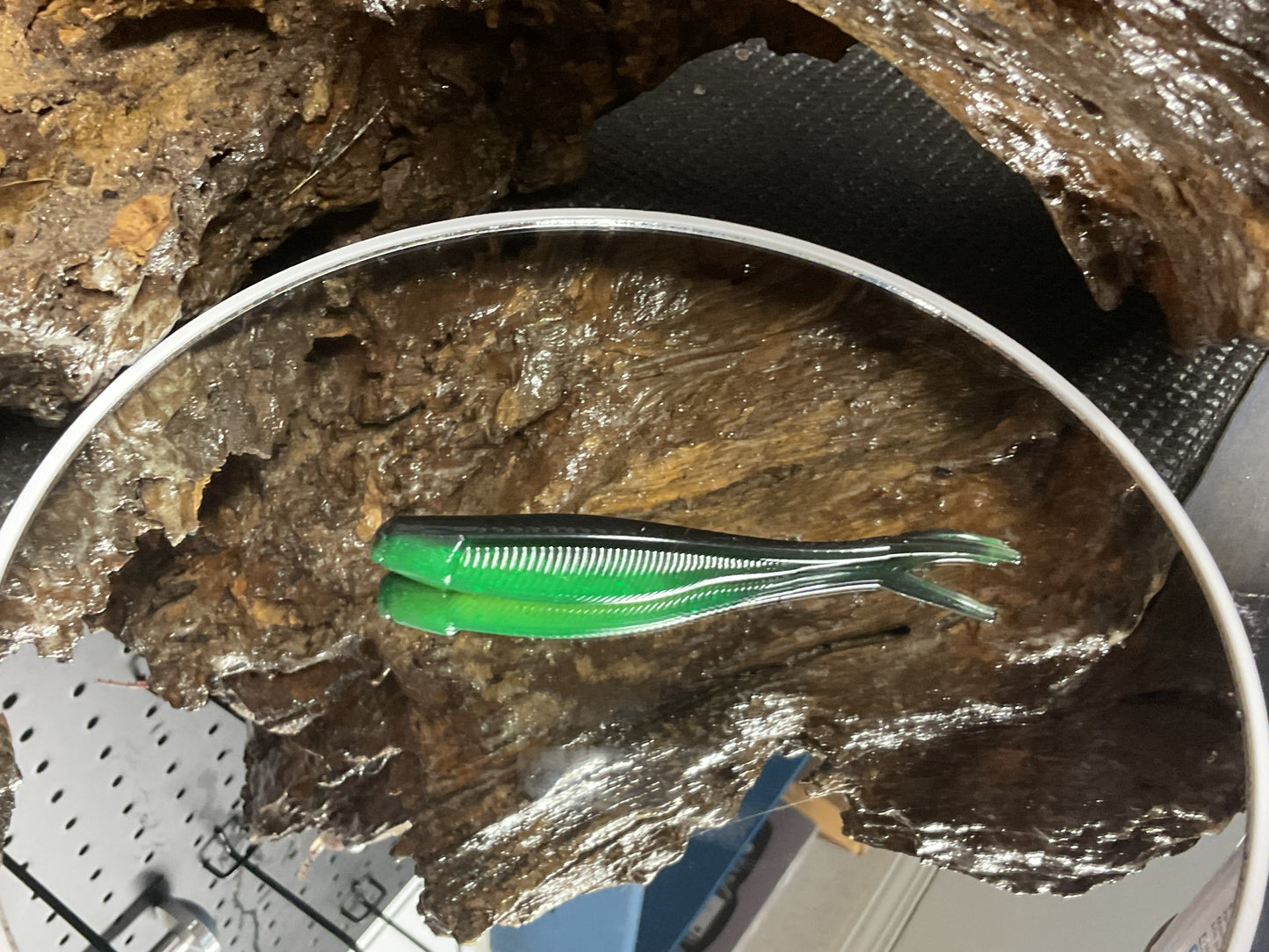 Black / Alien Green