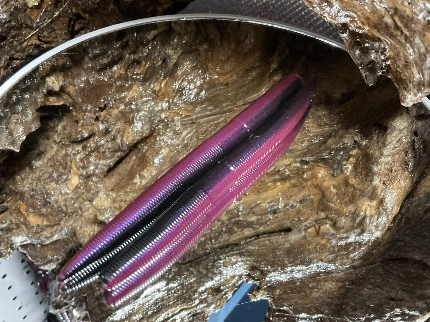 Tequila Sunrise Shad