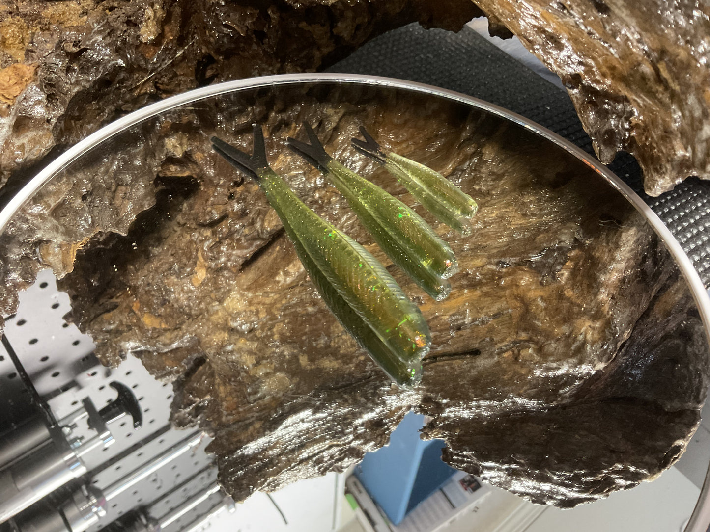 Tsunami Glimmerfin Black Tail