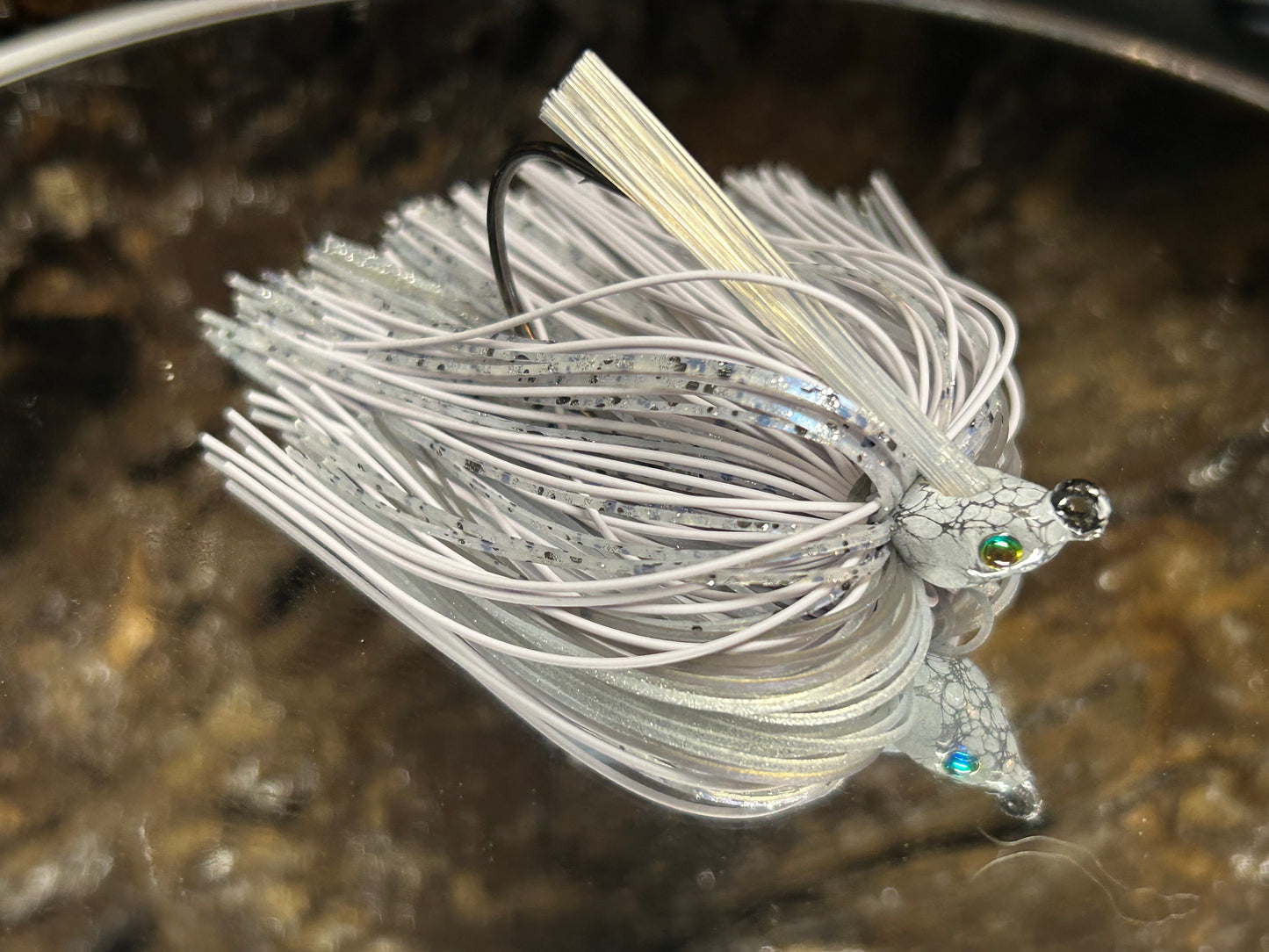 Gray Shad