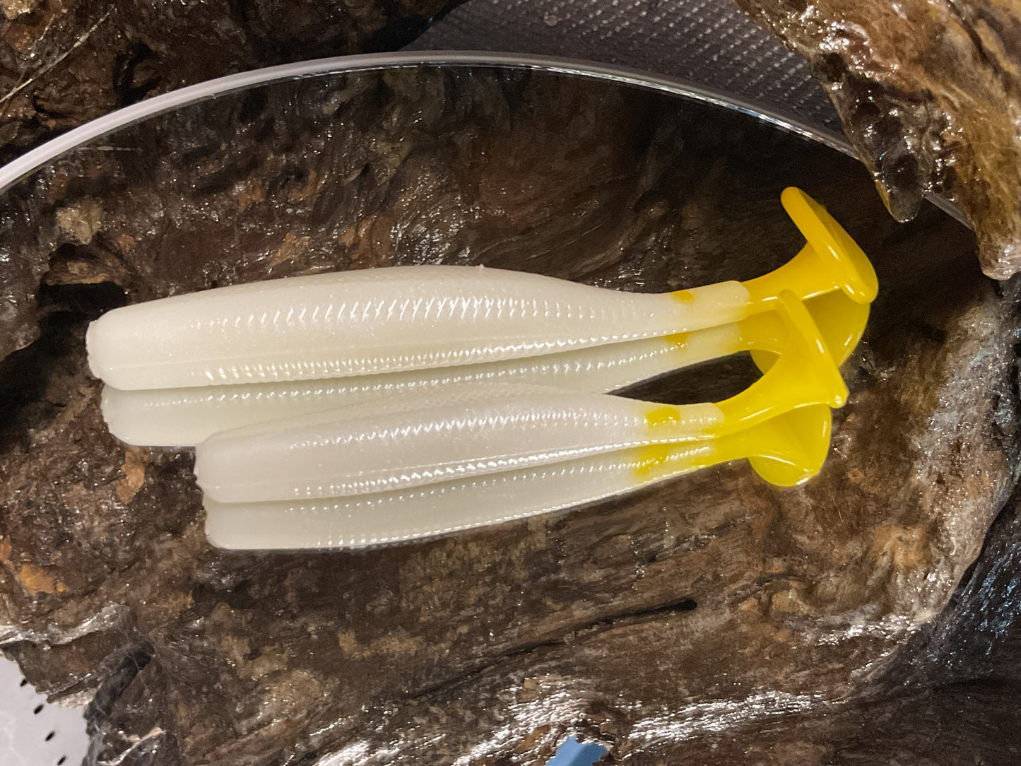 White / Yellow Tail