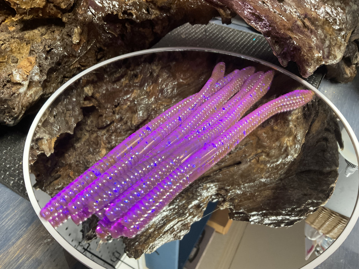 Violet Chameleon