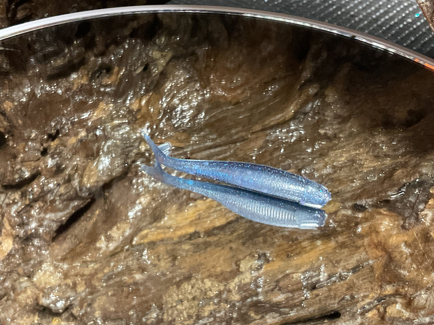 Blue Haze Shad