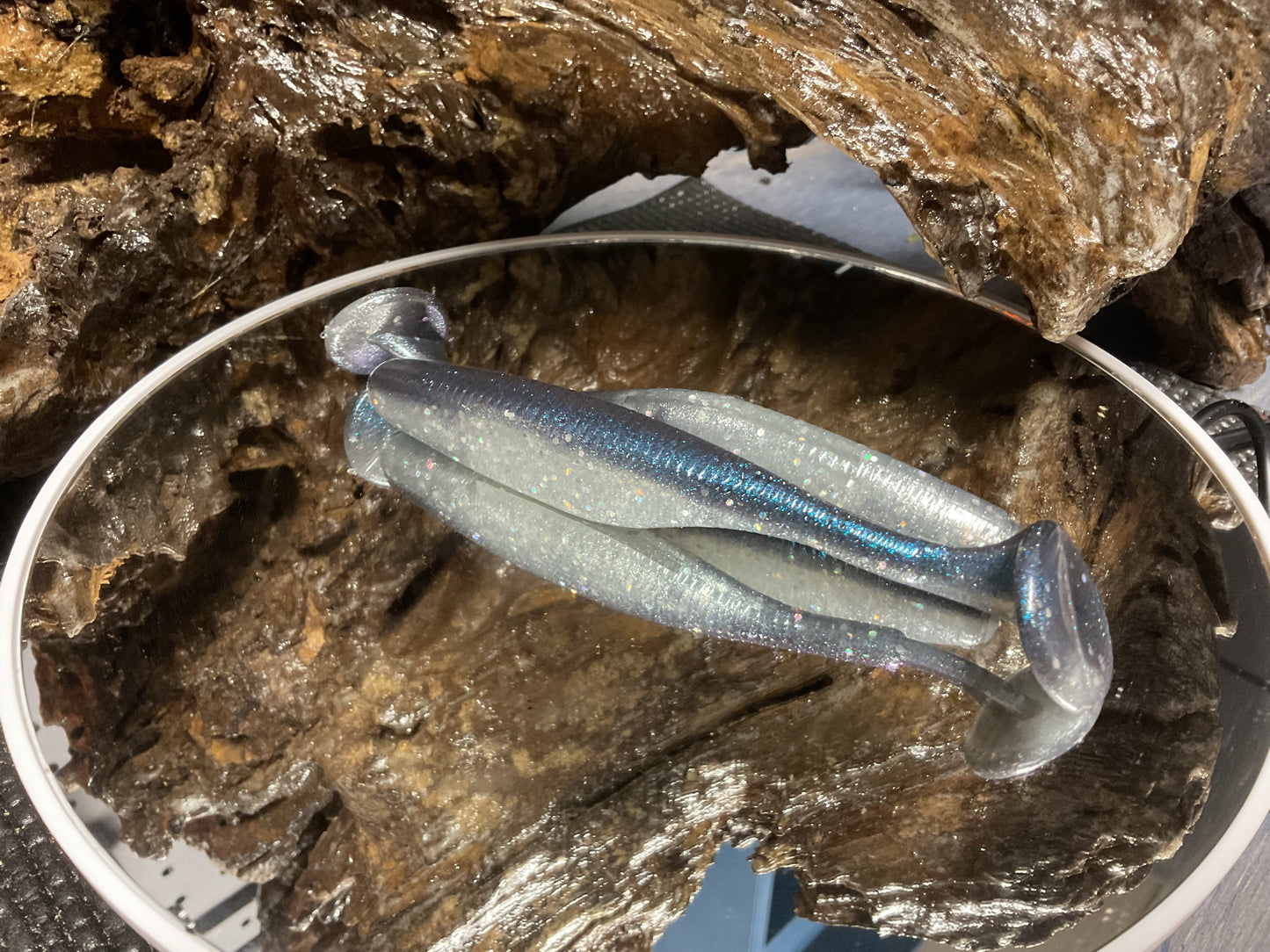 Blue Streak Shad