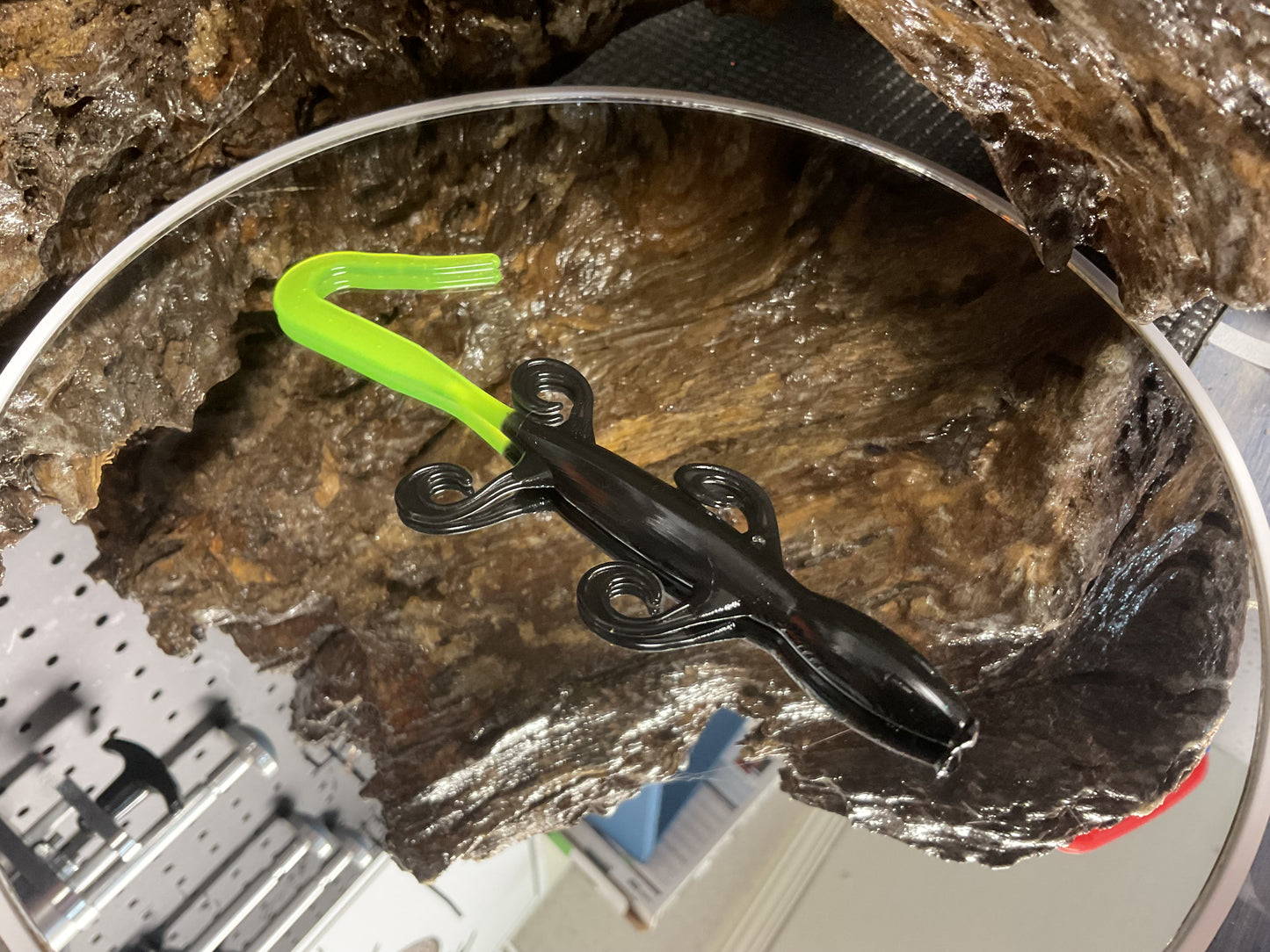 Black - Chartreuse Tail