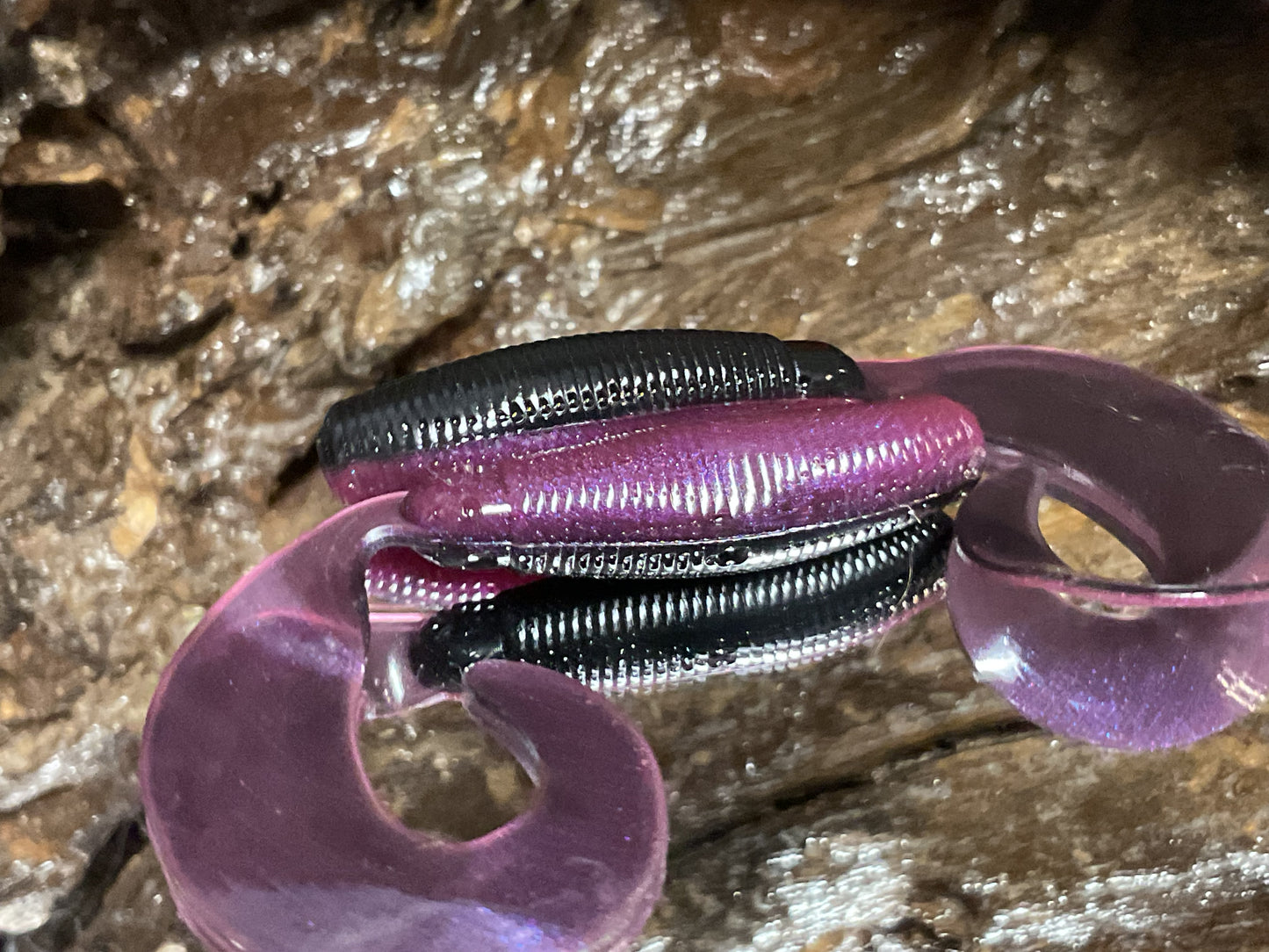 Tequila Sunrise Shad