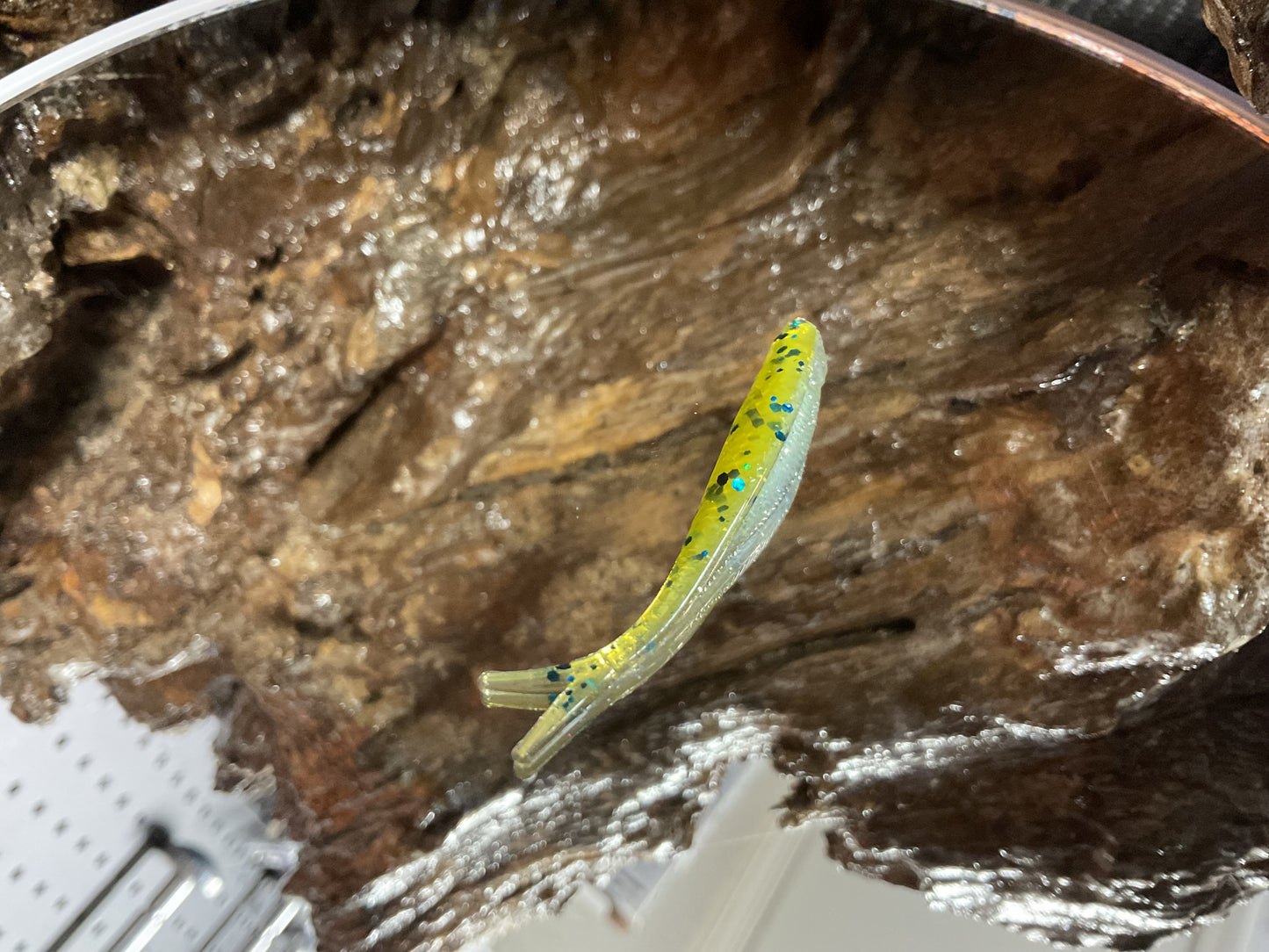 Green Pumpkin - Blue Shad