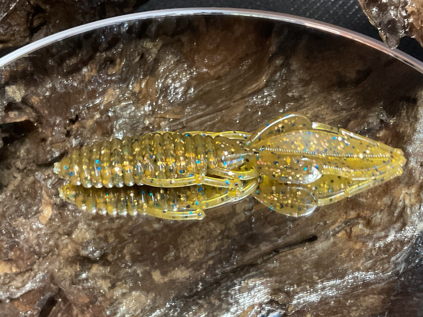 Tilapia 