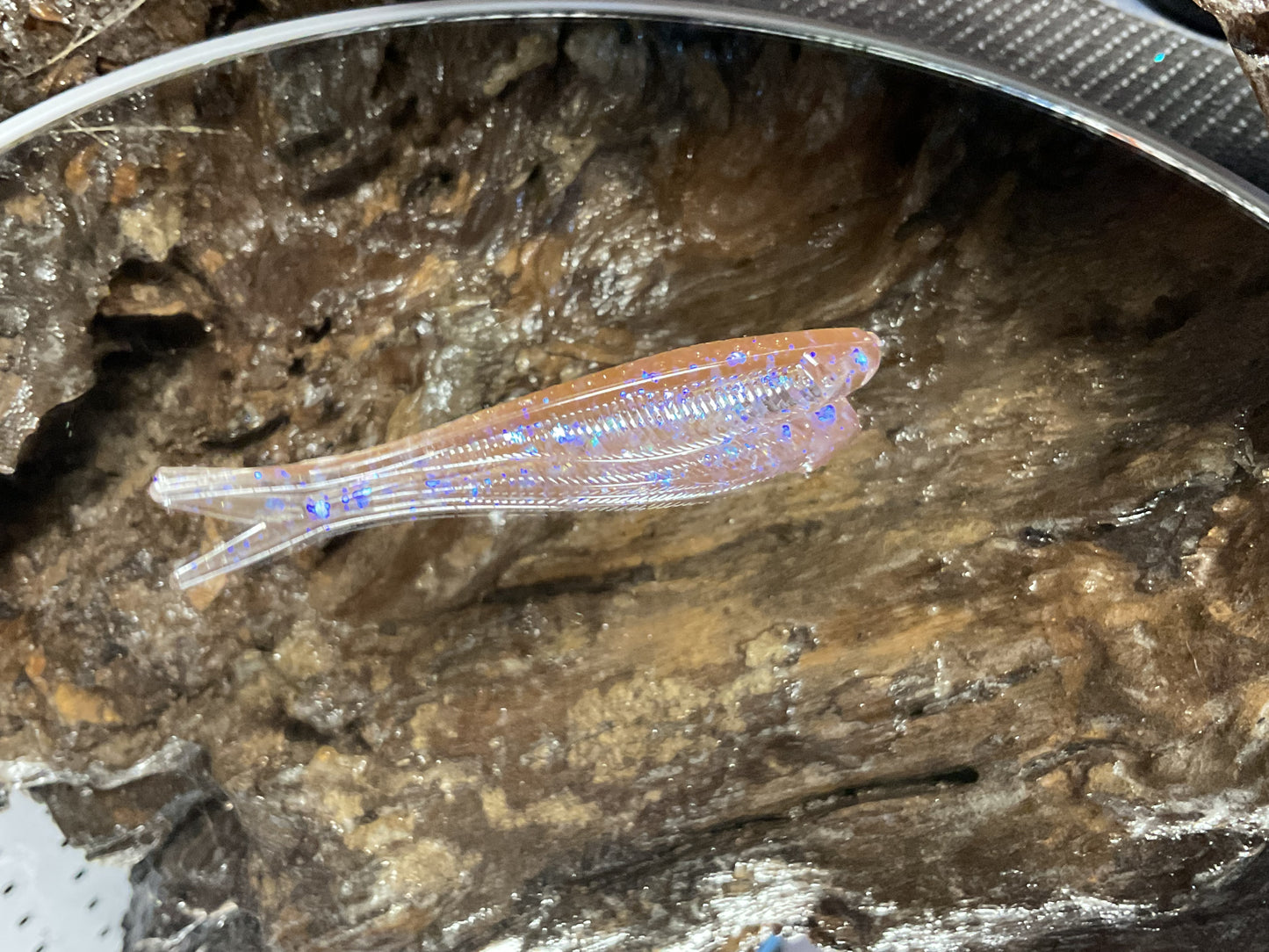 Electric Shad