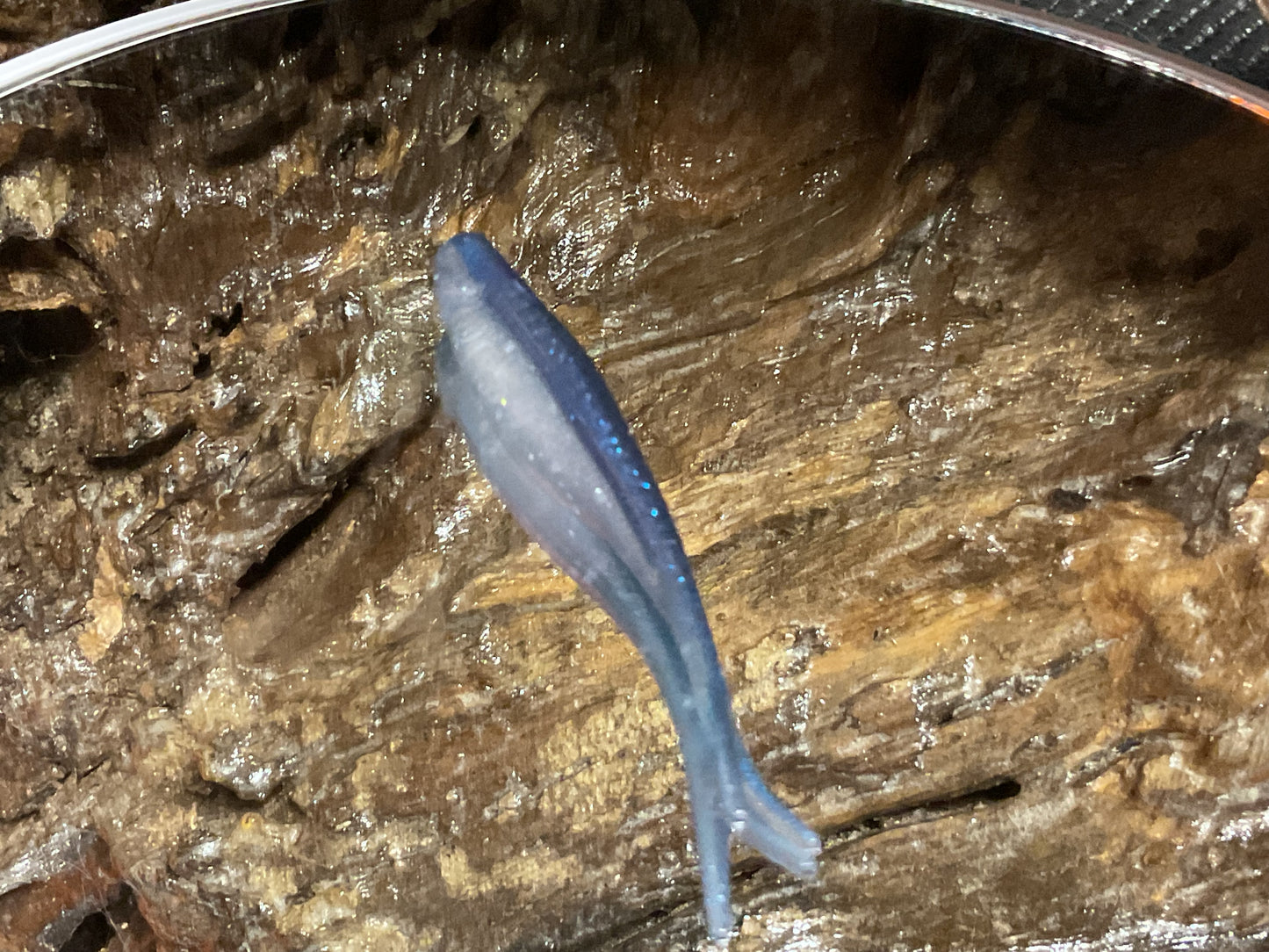 Blue Haze Shad