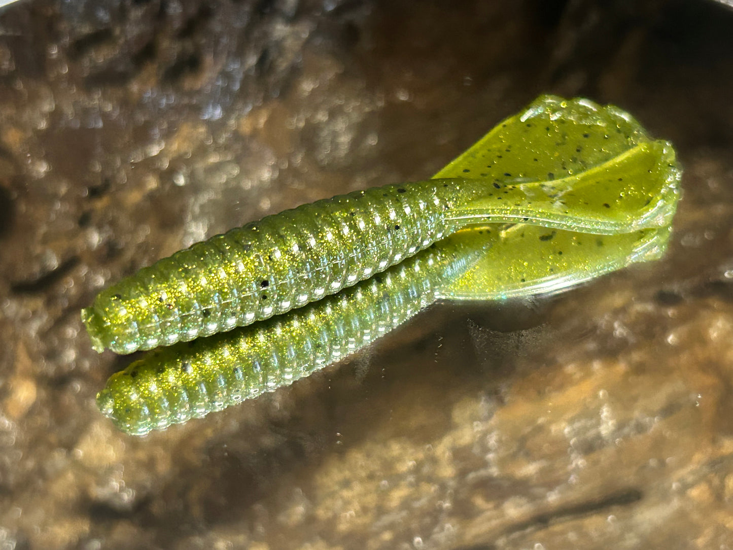 Golden Bass