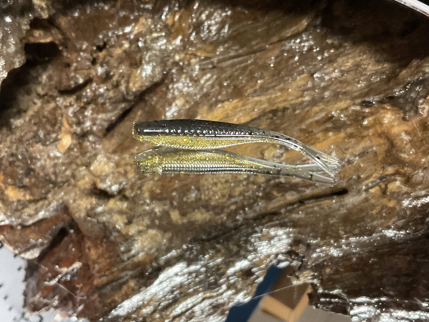 My Dad’s Favorite Color