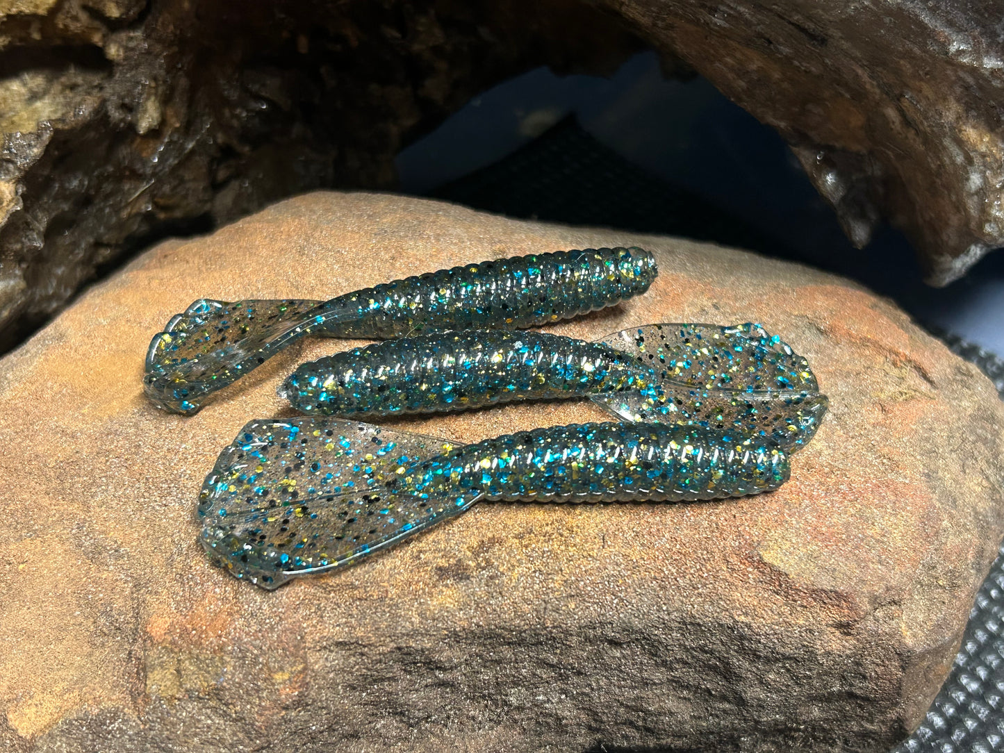 Blue Gill qty 8
