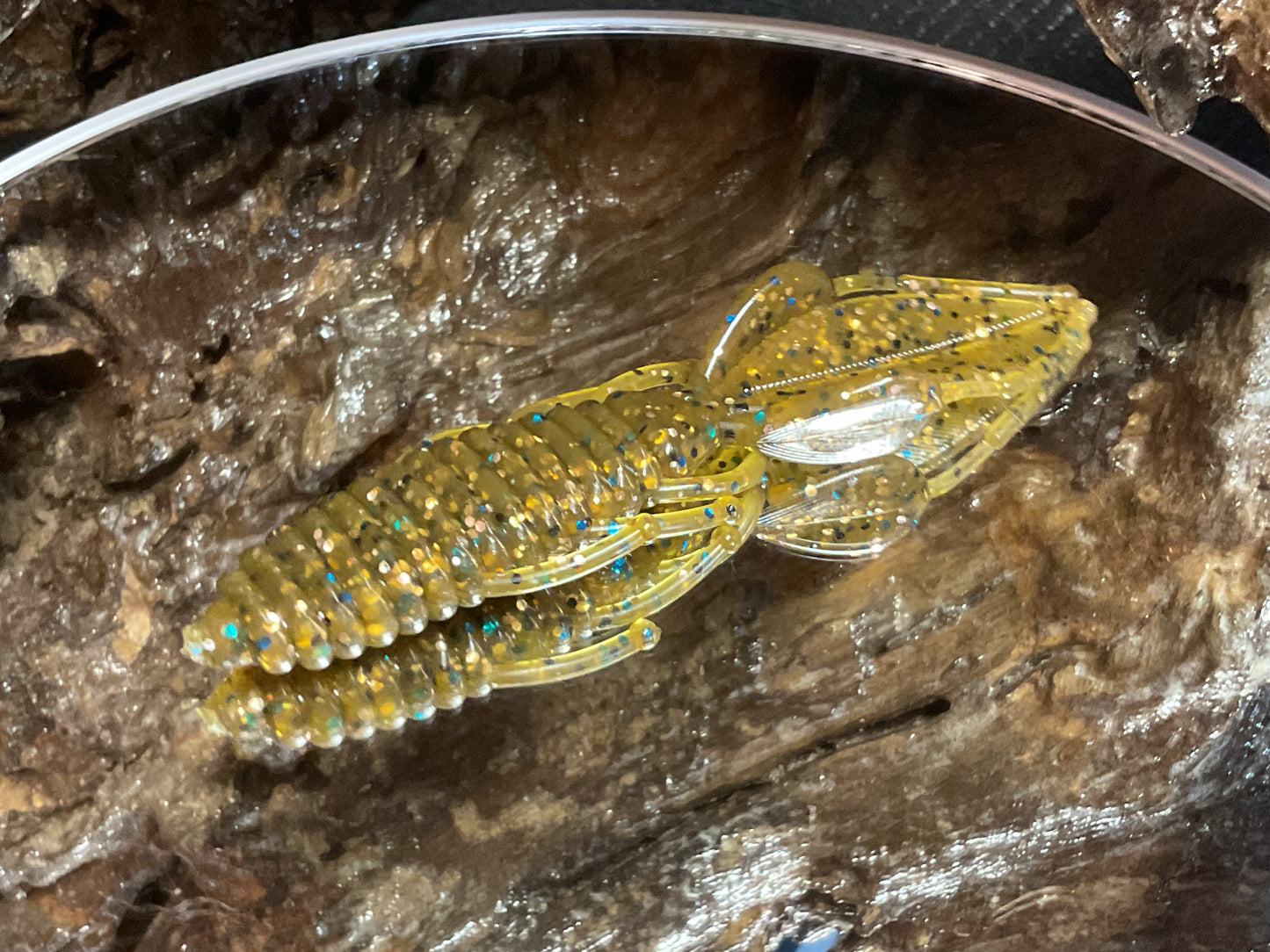 Tilapia 