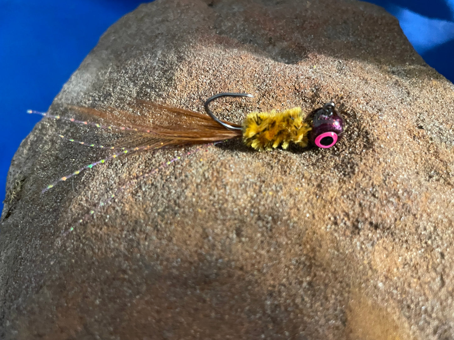 Brown Pumpkin Seed Minnow
