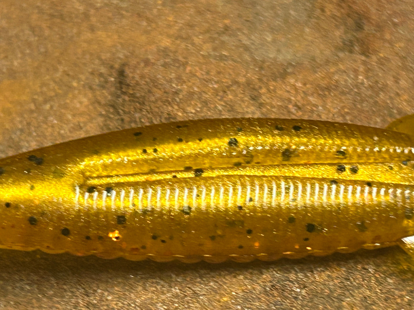 Golden Honey (qty 8)