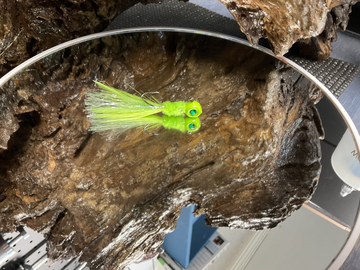 Fancy Radiation Minnow