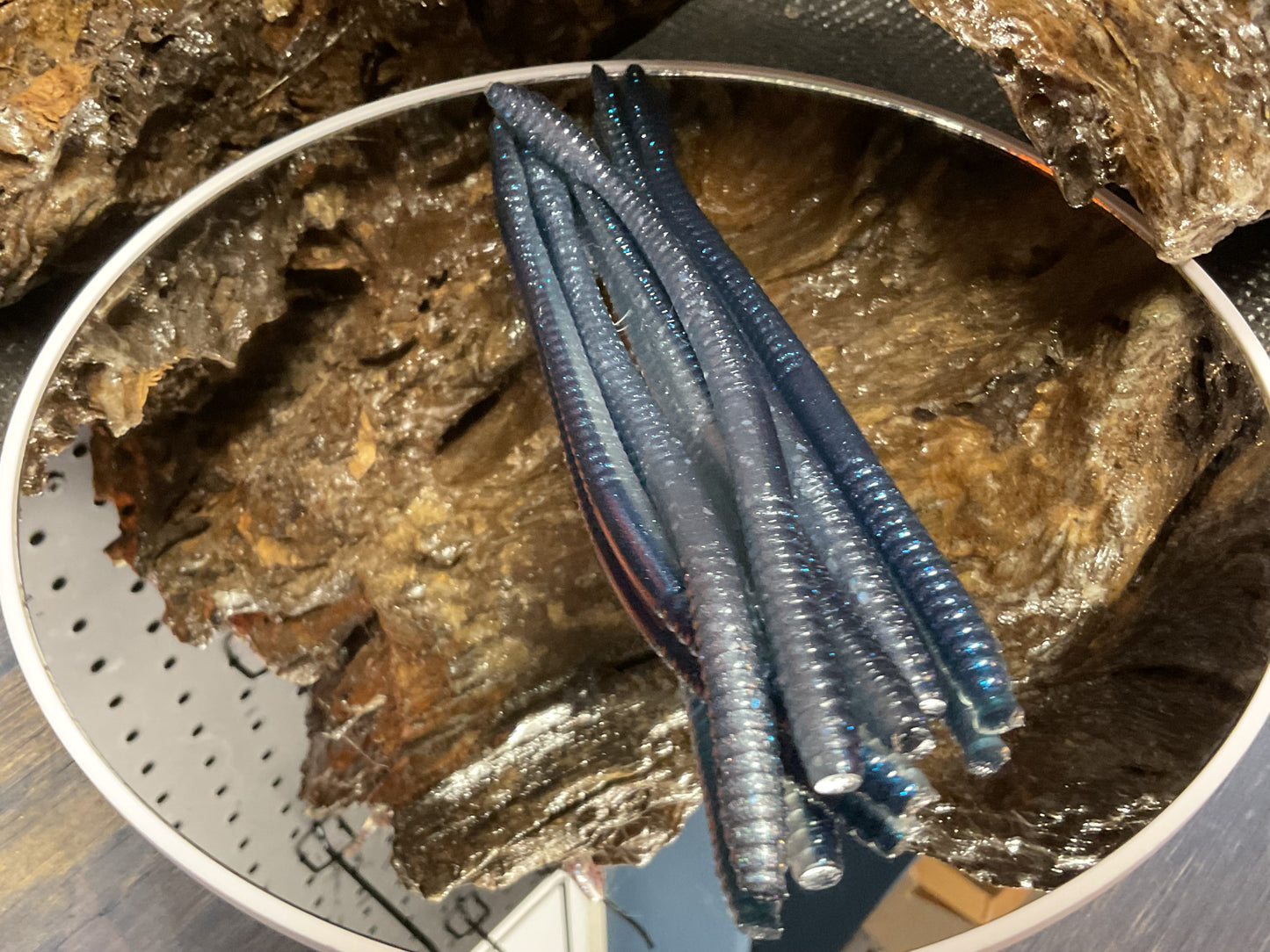Blue Haze Shad