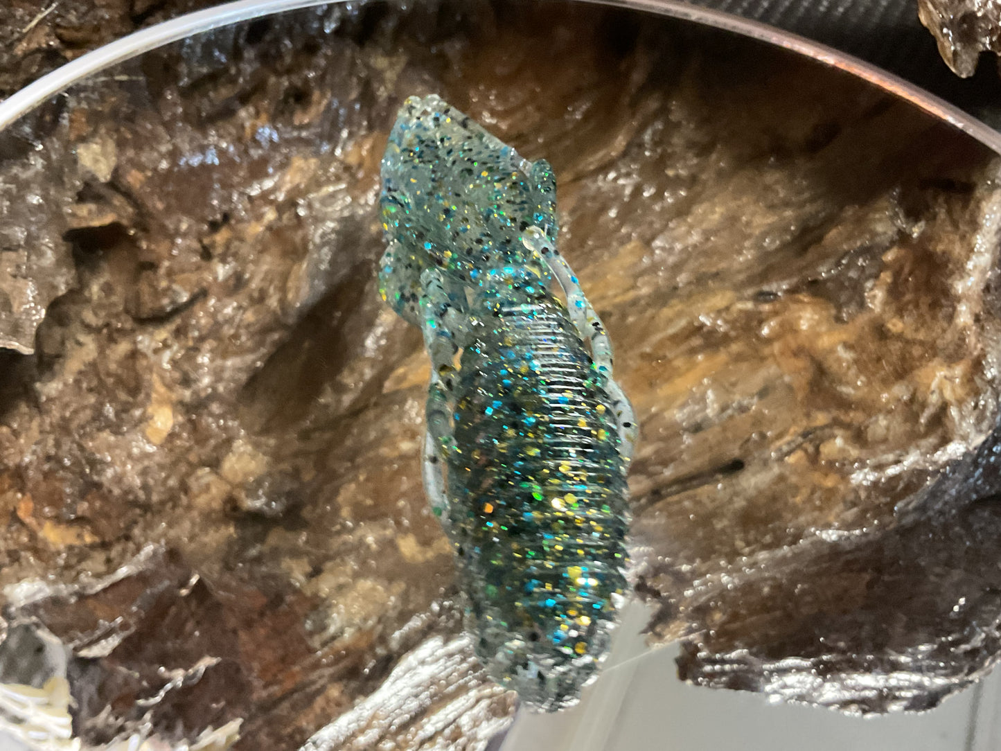 Bluegill