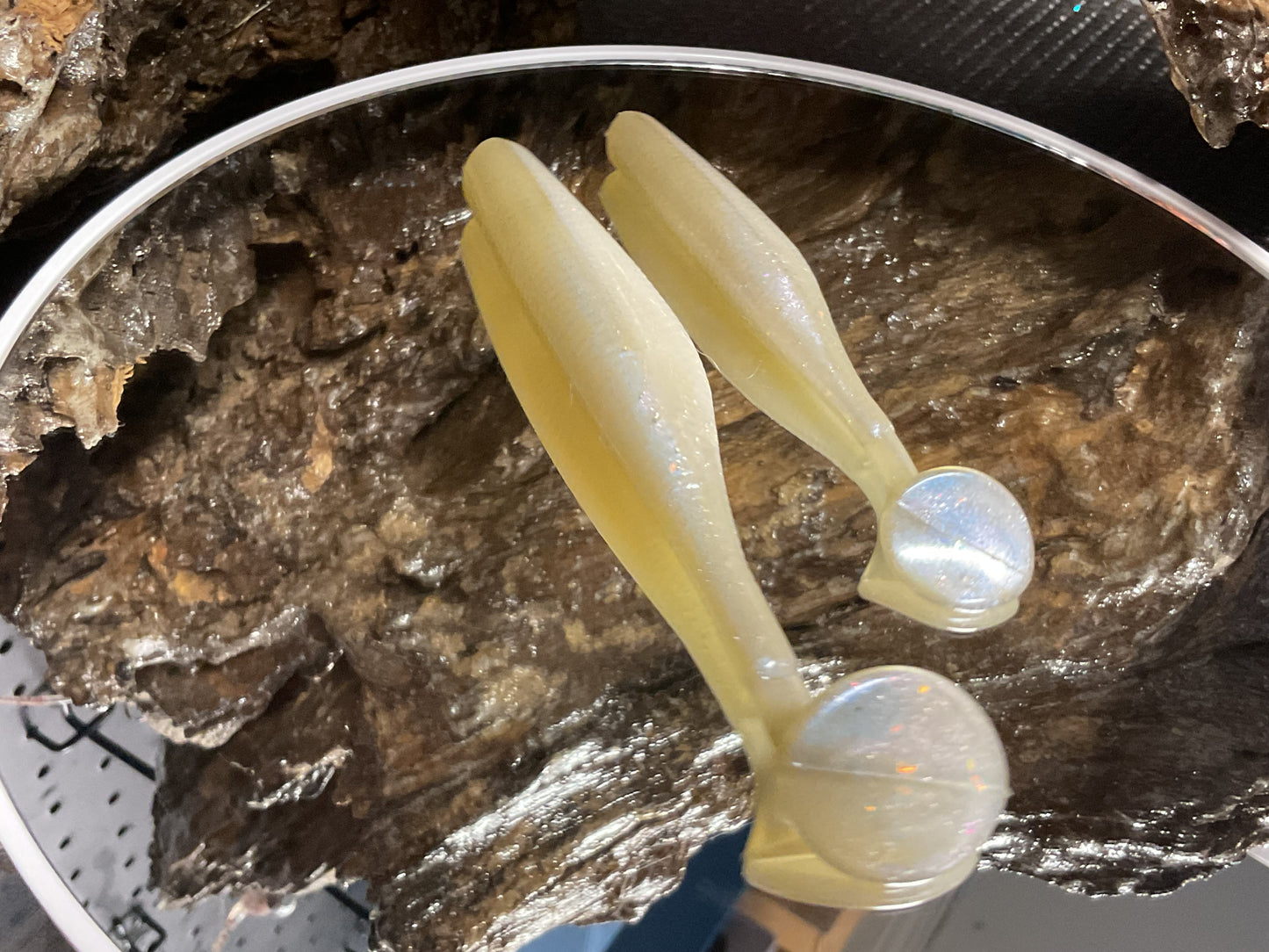Cal Threadfin Shad
