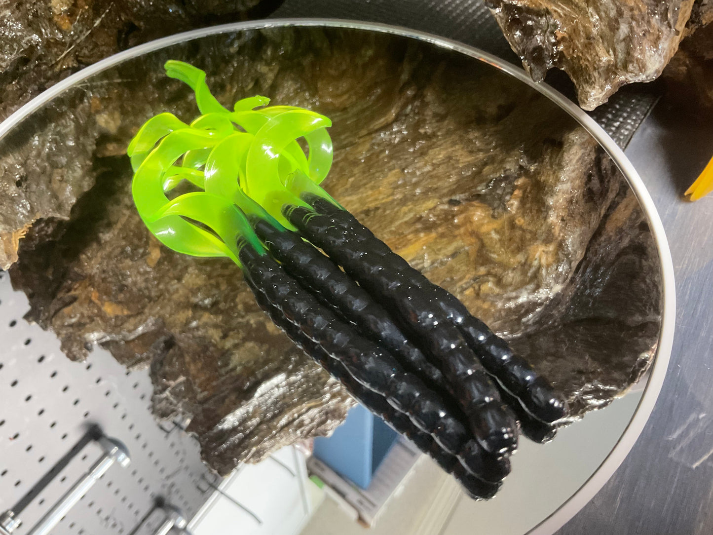 Black - Chartreuse Tail