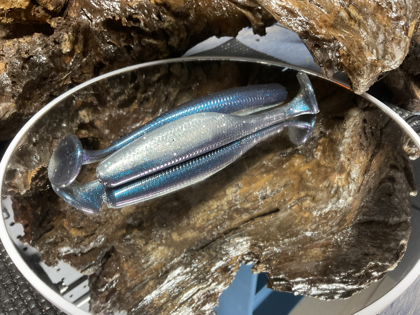 Blue Streak Shad
