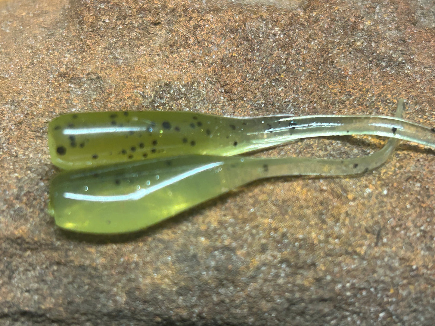 Baby Bass