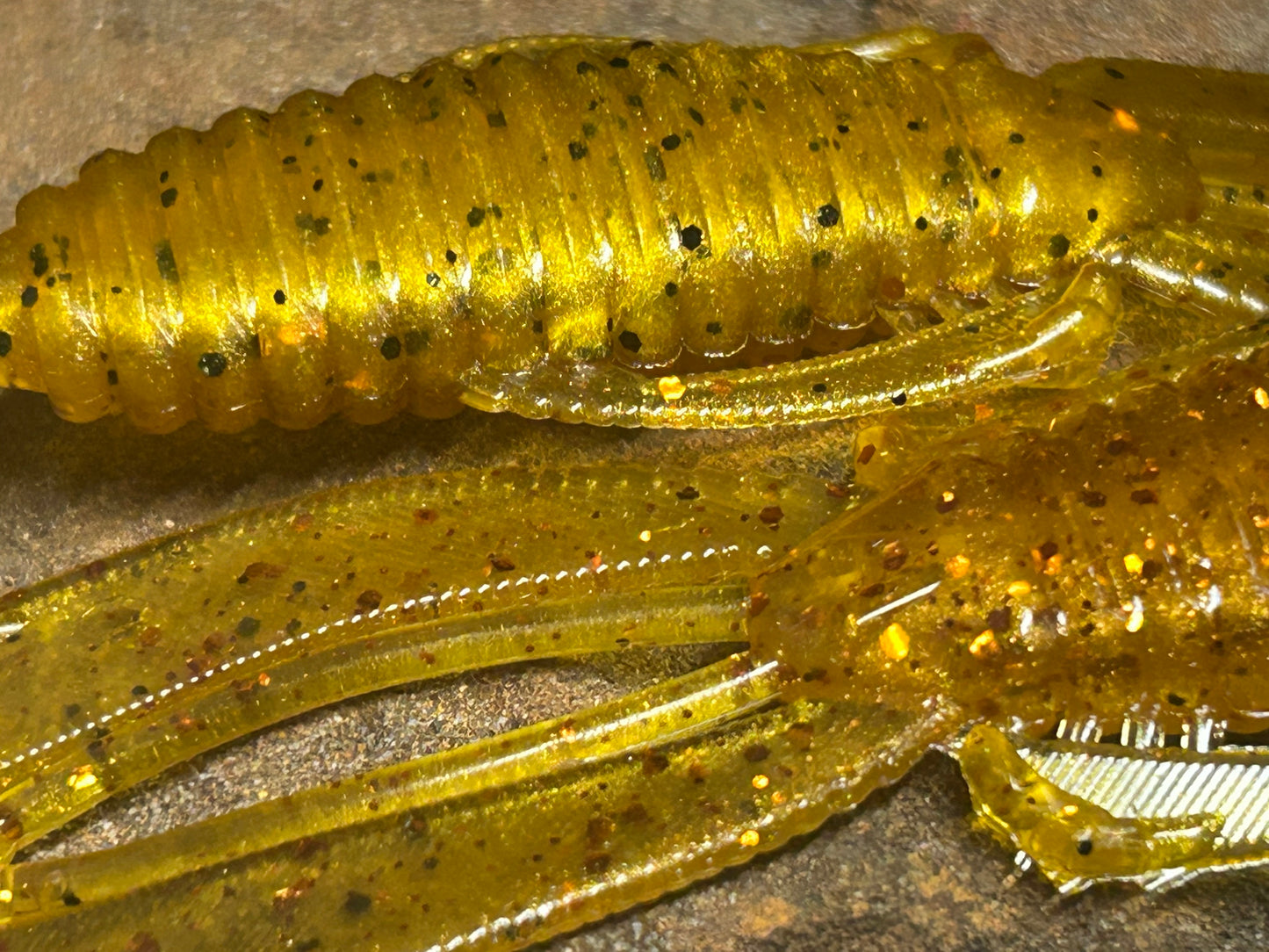 Golden Honey (qty 6) Knuckle Dragger