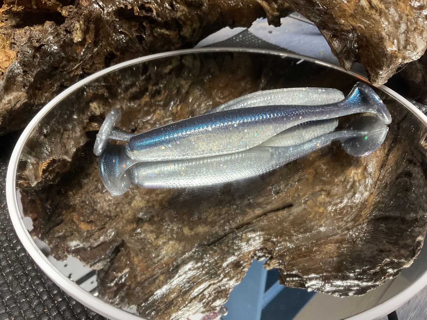 Blue Streak Shad