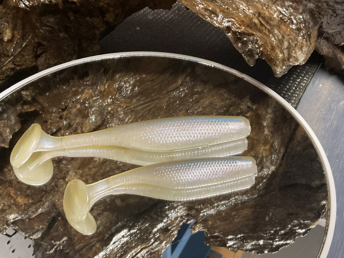 Cal Threadfin Shad