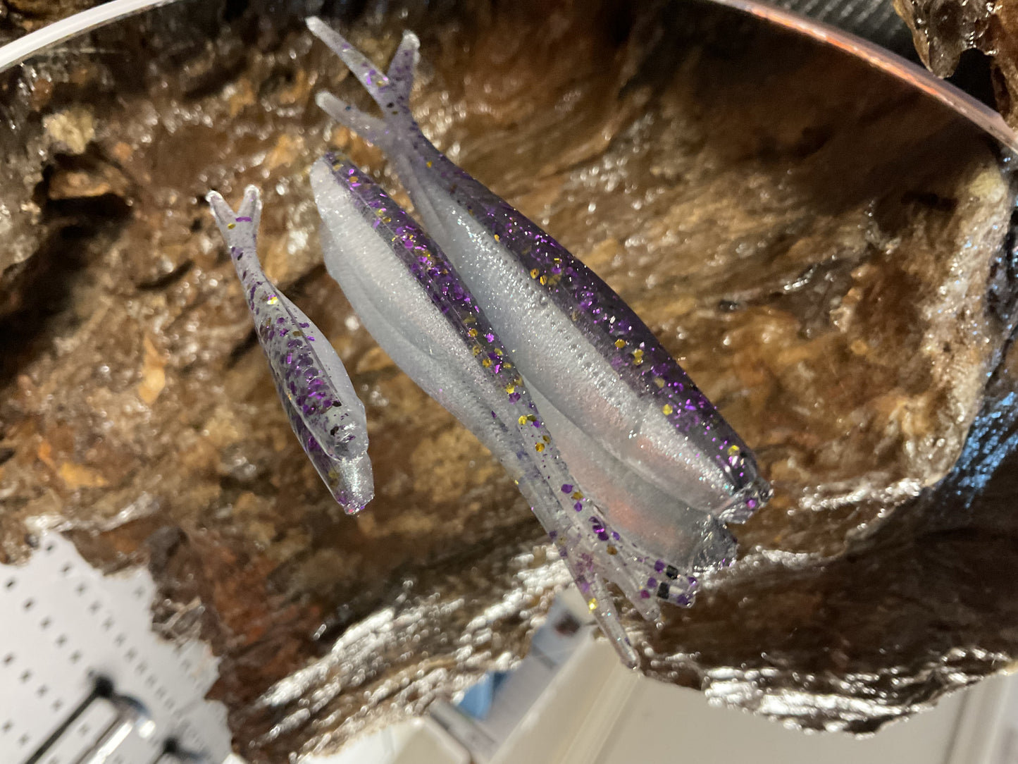 Gizzard Shad Tracers