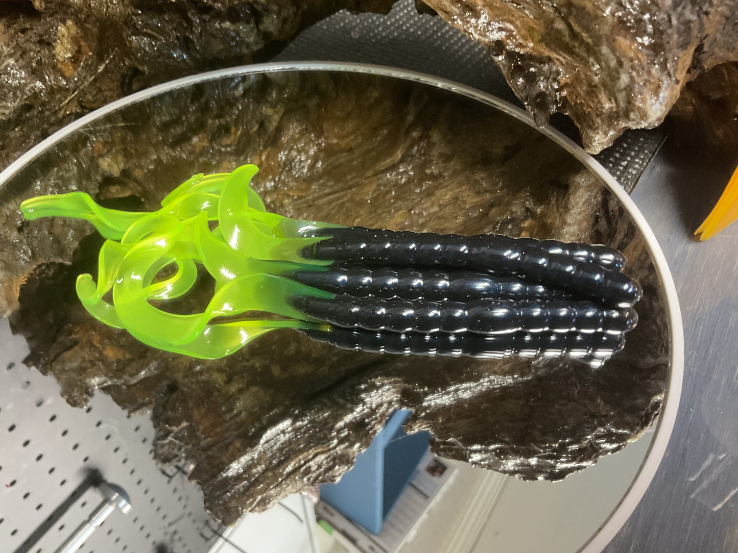 Black - Chartreuse Tail