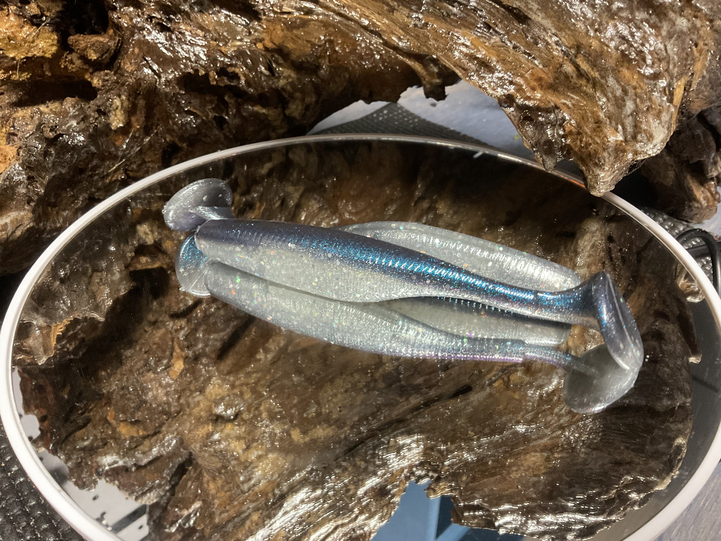 Blue Streak Shad