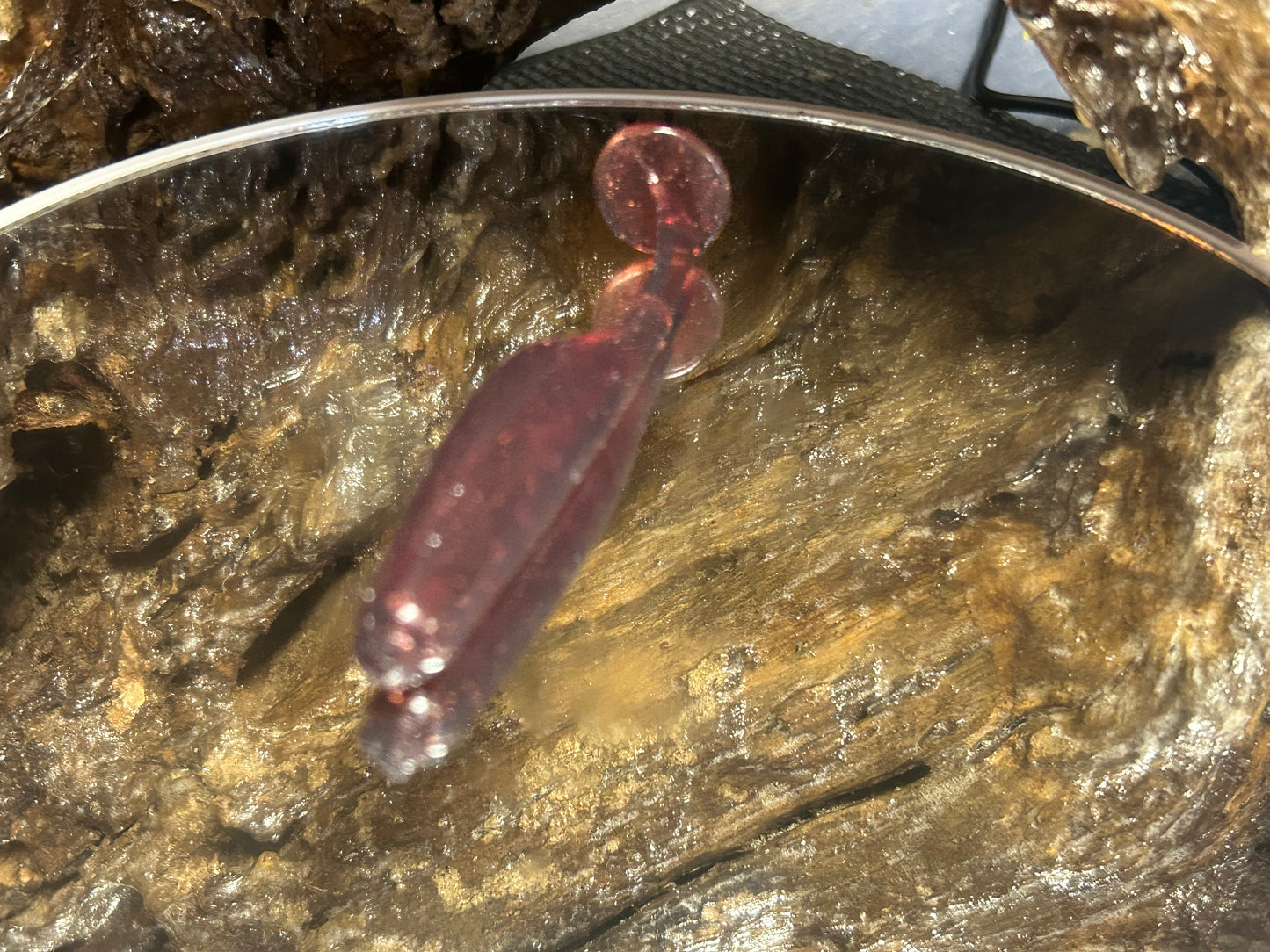 Chupucabra