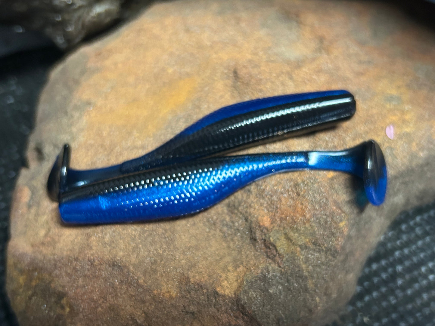 Blue Shad